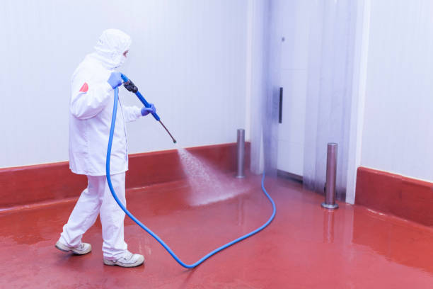 Best Roof Washing  in Ragland, AL