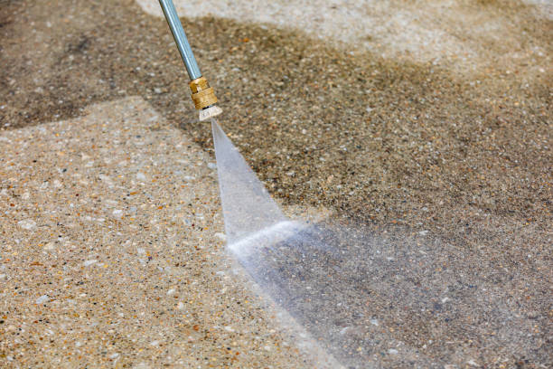 Best Animal Enclosure Cleaning  in Ragland, AL